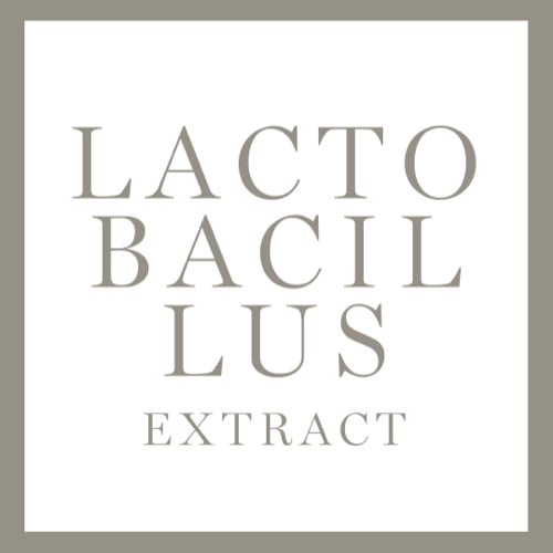 Lactobacilus Extract